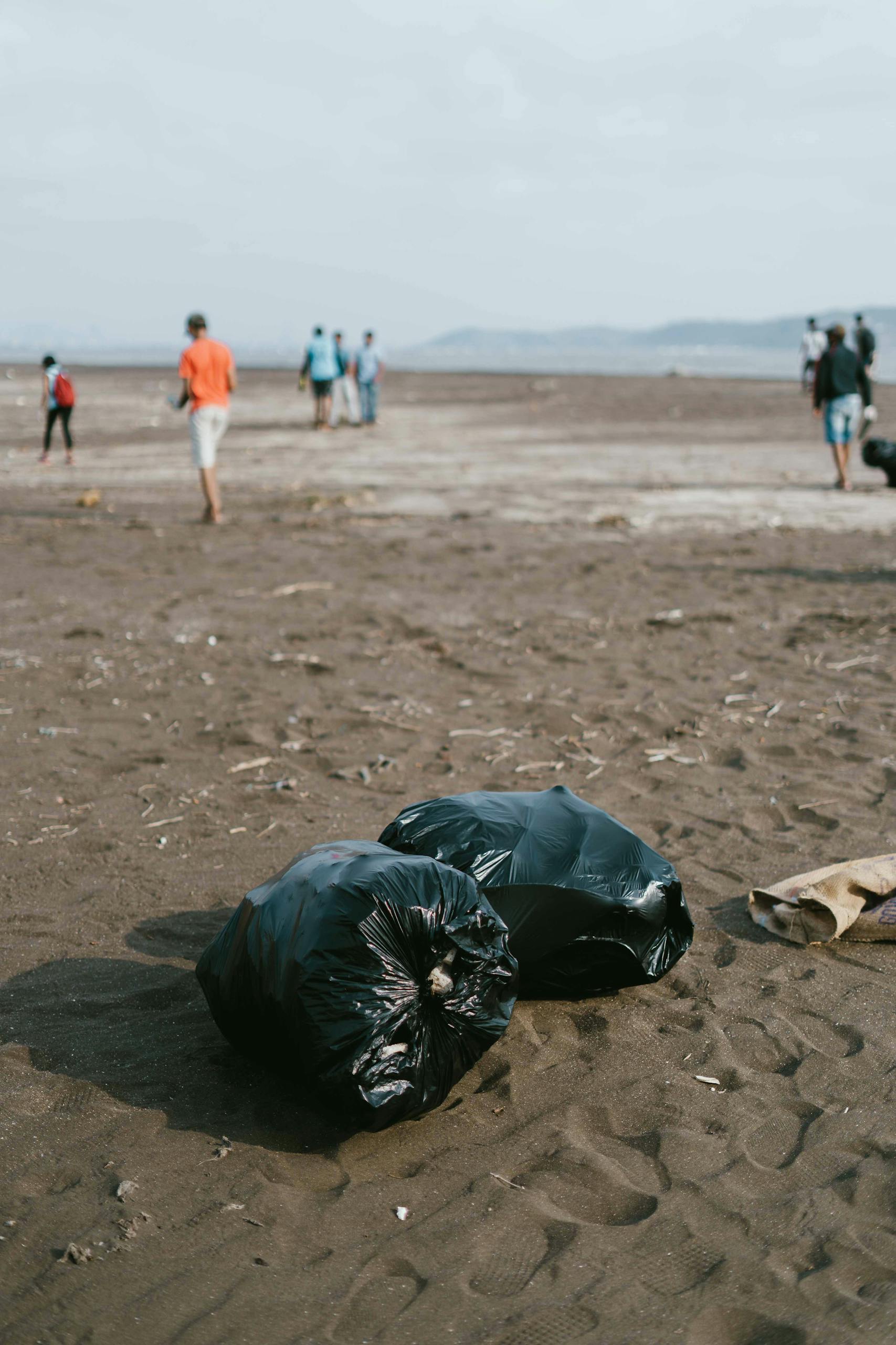 Trash bags on a beach with volunteers during a cleanup event.